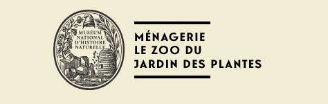 menagerie atelier animaux